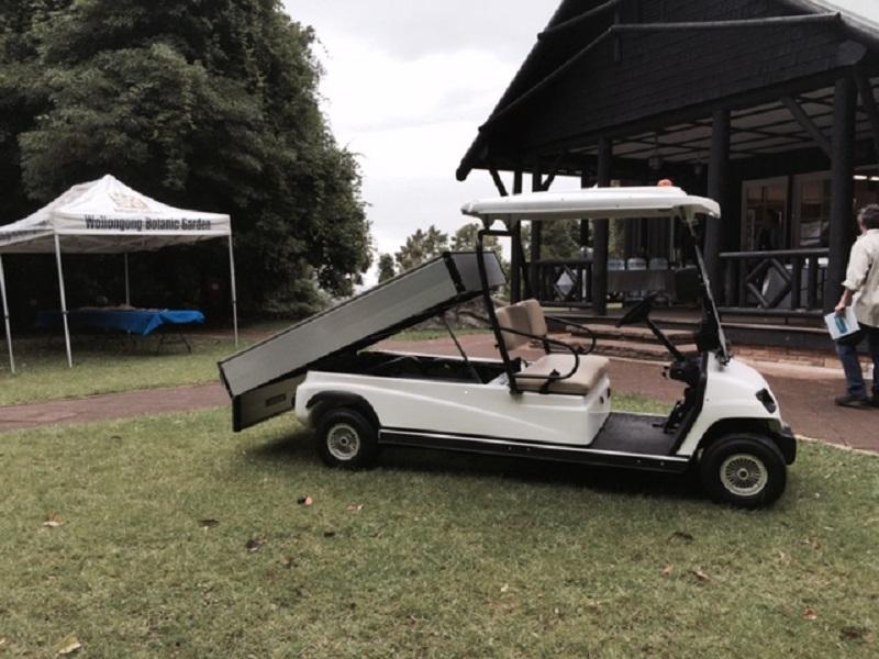 Side Photo Tipped Tray LT-A2.H8 - 2 Seat Utility Long Wheel Base Electric Cargo Commercial Cart Buggy