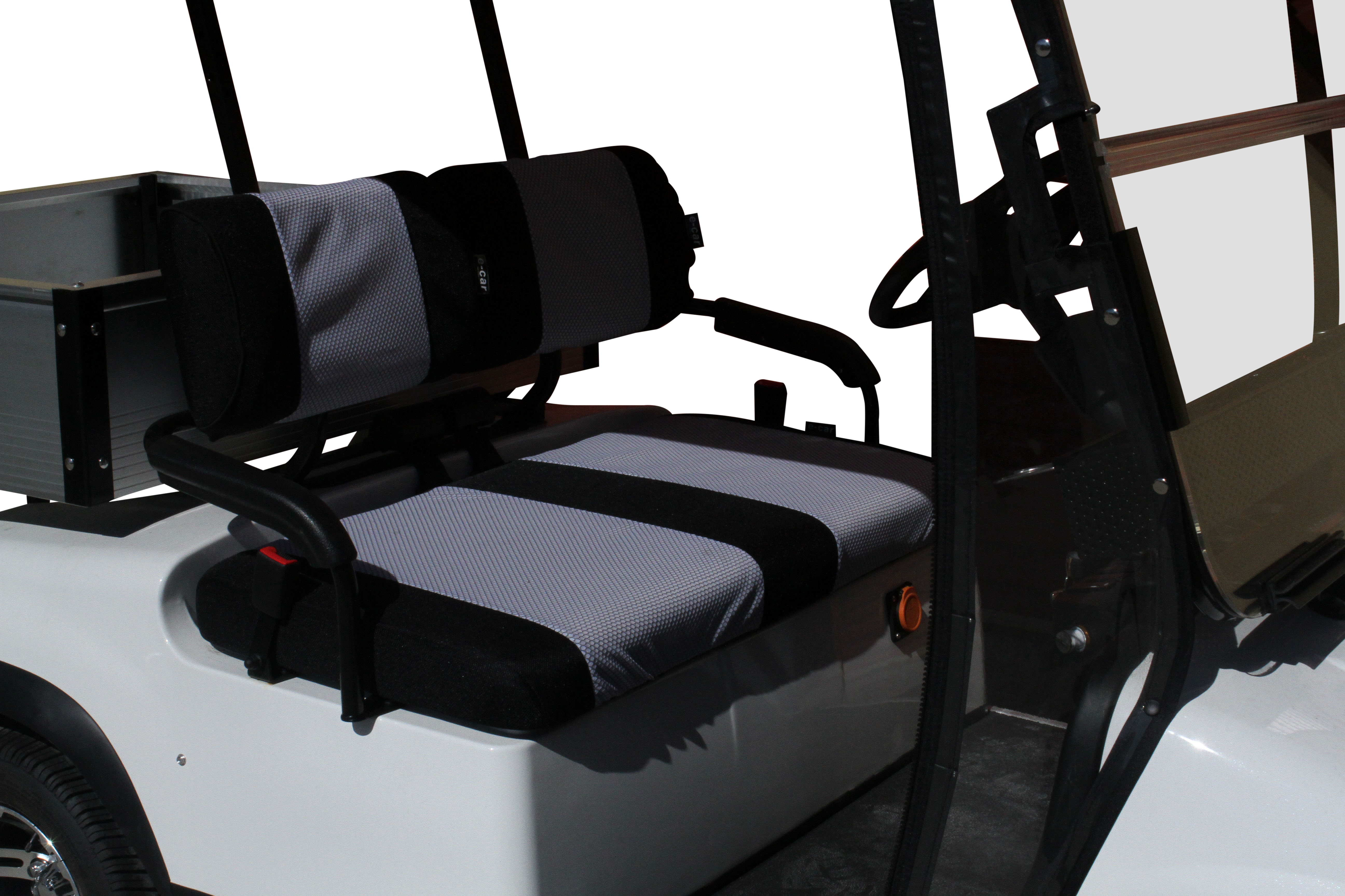 ECAR LT-A2UL - 2 Seat Utility Cart