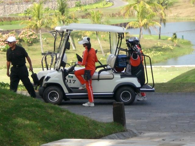 ECAR LT-A2D.SP  - 2 Seat Golf Cart