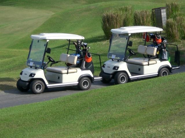 ECAR LT-A2D.SP  - 2 Seat Golf Cart