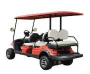 ECAR LT-A627.4+2.G - 6 Seat Community Transport vehicle ( Lifted)