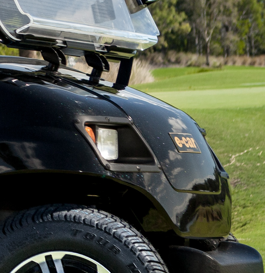 ECAR LT-A2D.GP  - 2 Seat Golfers Package
